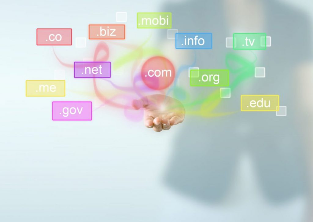 Domain Uzantıları