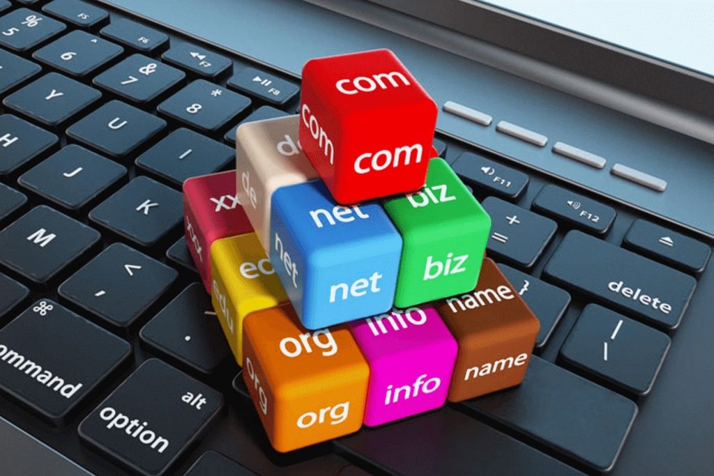 domain yatırımcılığı