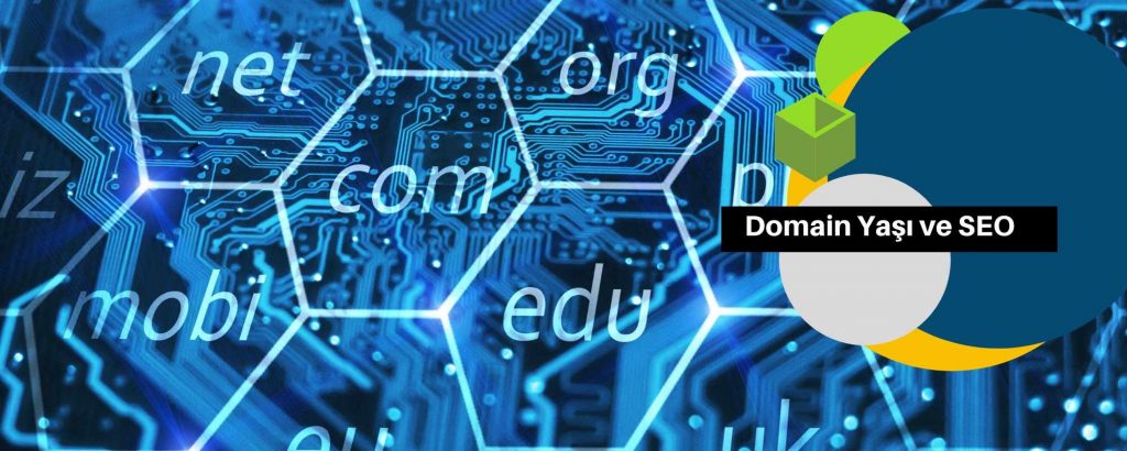 Domain Yaşı