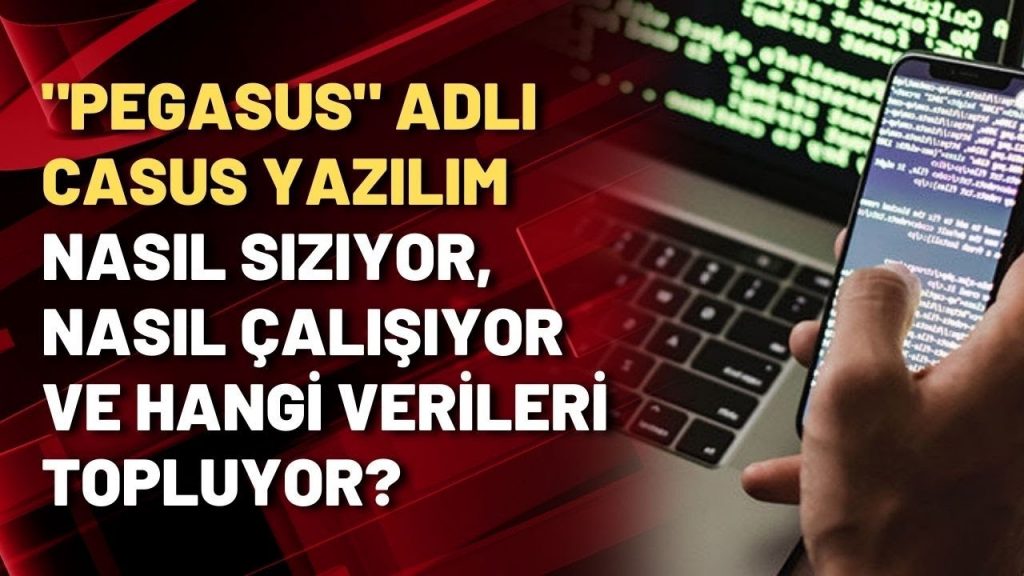 Pegasus Casus Yazılımı