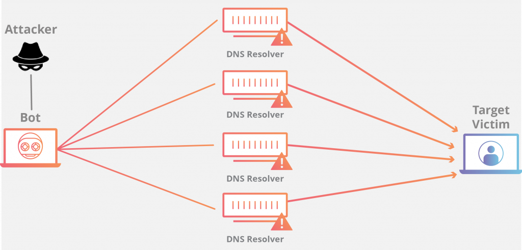 DDoS
