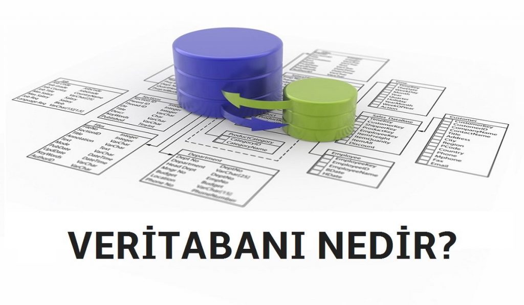 Veritabanı