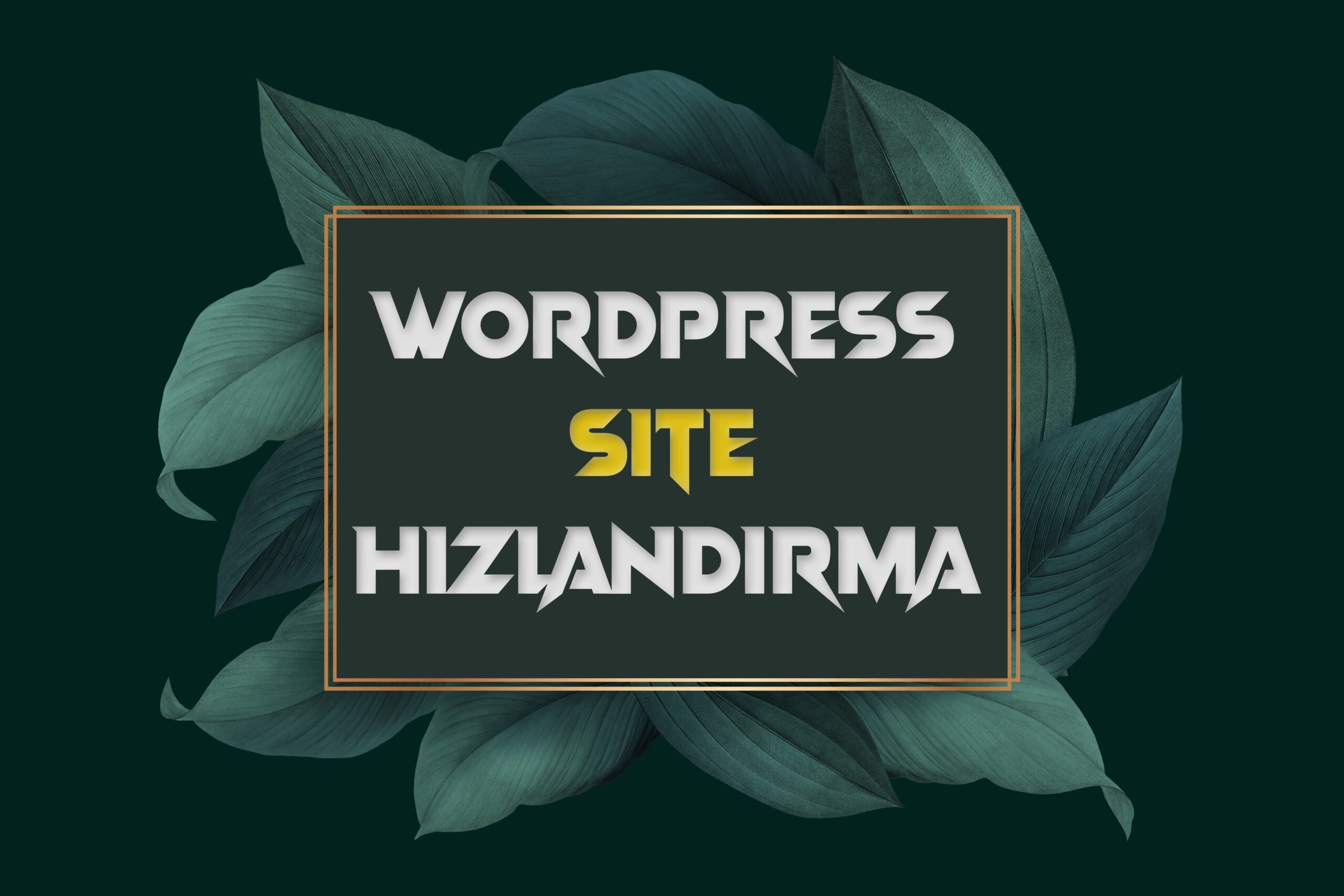 WordPress Site Hızlandırma 2021