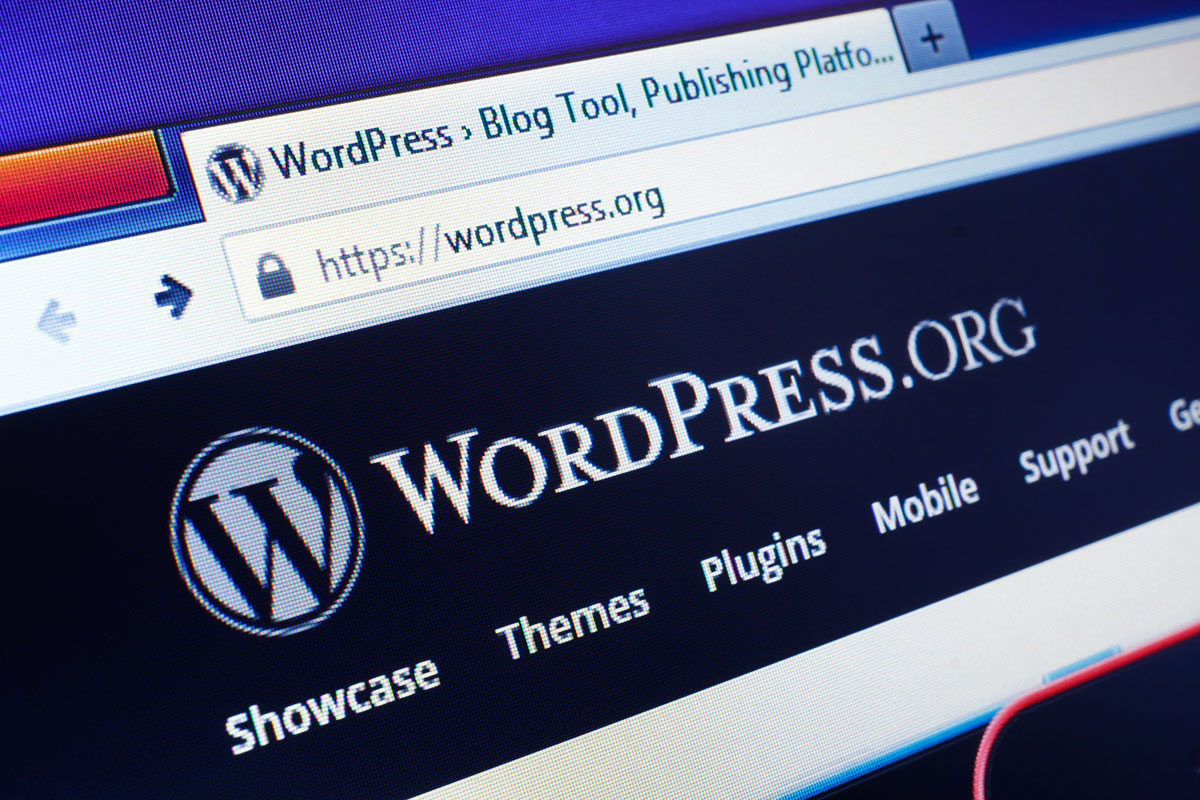 WordPress Nedir? Ne İşe Yarar?