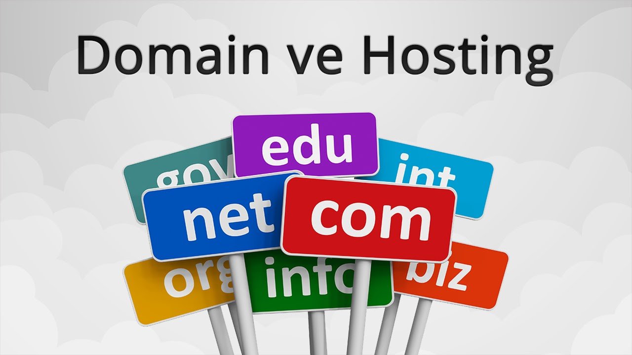 Domain Hosting Hizmeti Ne Anlama Gelir?