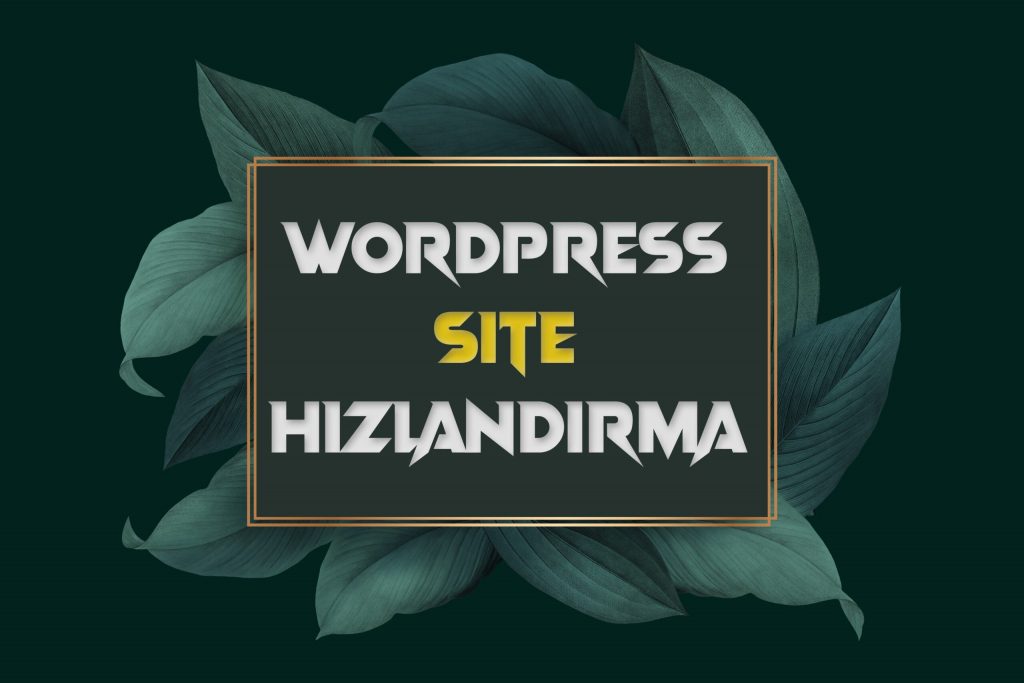 Site Hızlandırma