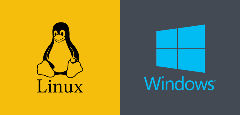 Linux Hosting mi Yoksa Windows Hosting mi Daha Avantajlı?