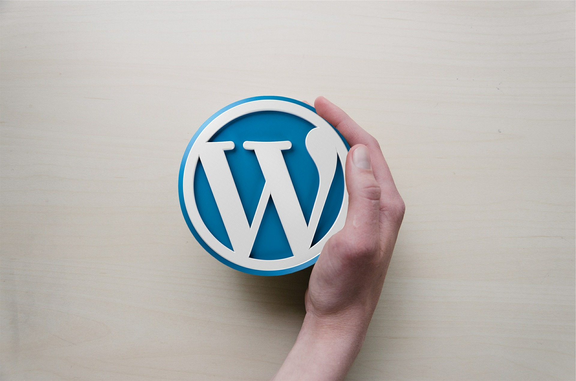 WordPress’te Açılış Sayfası Oluşturma