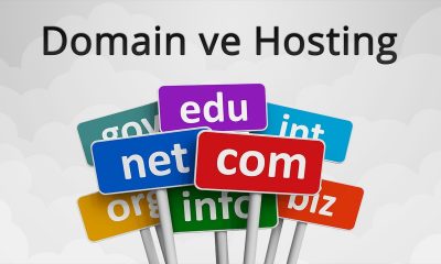 Domain Hosting Hizmeti Ne Anlama Gelir?