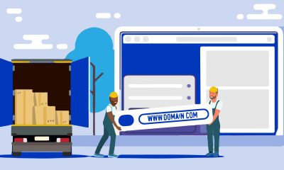 Domain Transfer İşlemi Yaparken Nelere Dikkat Etmelisiniz?