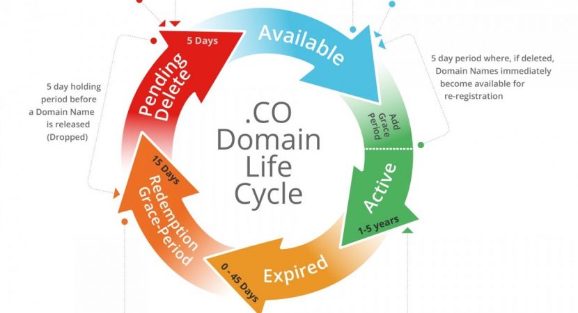 Drop Domain Hakkında Bilmeniz Gerekenler