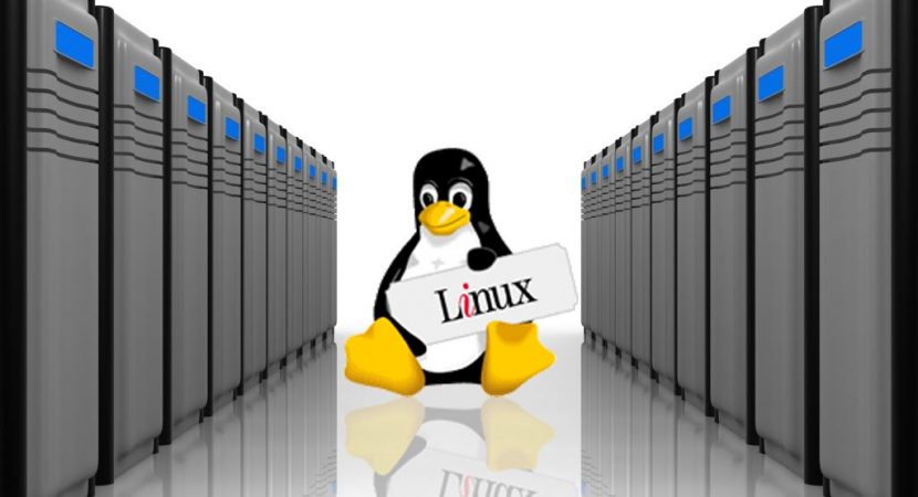 Linux Sunucu Alırken Nelere Dikkat Edilmeli?