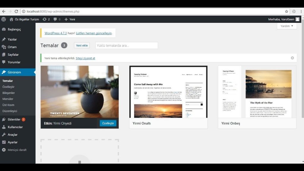 WordPress Tema Seçimi