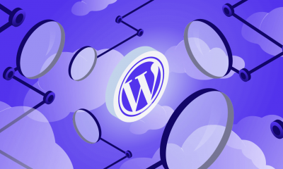 WordPress Kurulum İşlemi Hakkında Bilinmesi Gerekenler!