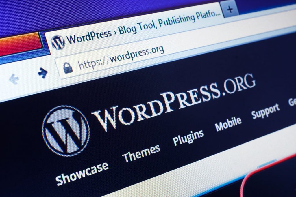 WordPress Kurulum İşlemi Hakkında Bilinmesi Gerekenler!