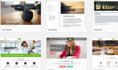 WordPress Tema Seçimi Nasıl Olmalı?