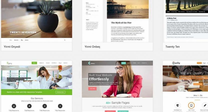 WordPress Tema Seçimi Nasıl Olmalı?