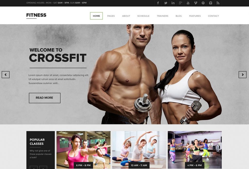 En İyi Wordpress Fitness Temaları
