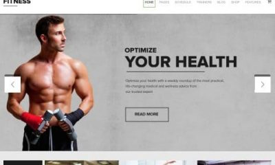 En İyi Wordpress Fitness Temaları