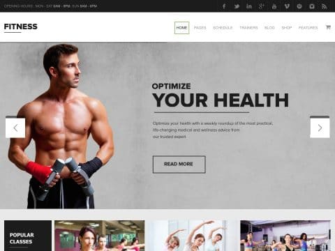 En İyi Wordpress Fitness Temaları