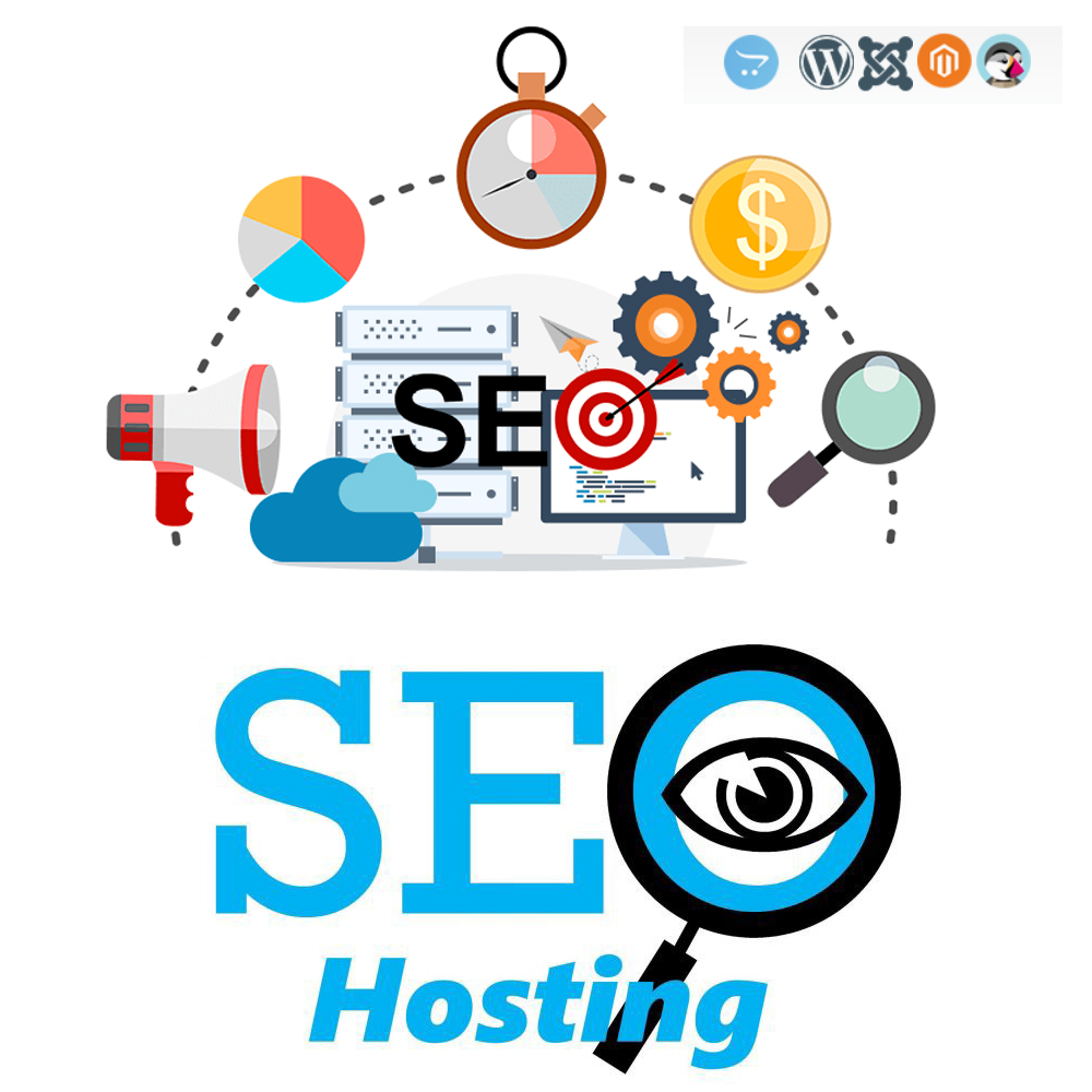 SEO Hosting Nedir?