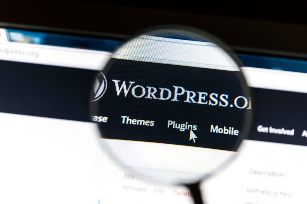 En İyi Wordpress Güvenlik Eklentileri