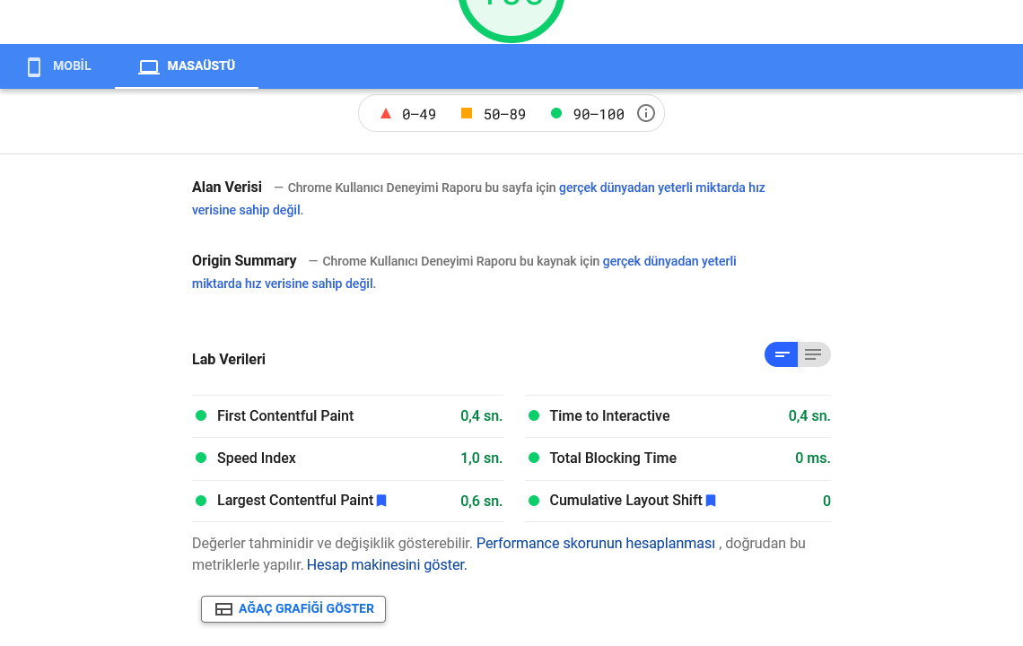 Google PageSpeed Insights Skor Tablosu