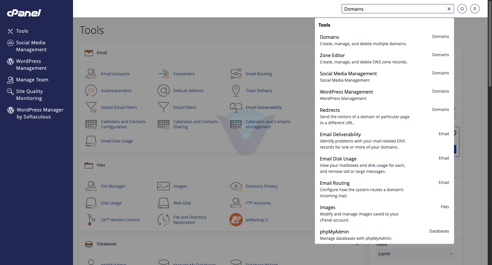 cPanel arama kutusunda Domains sonucu