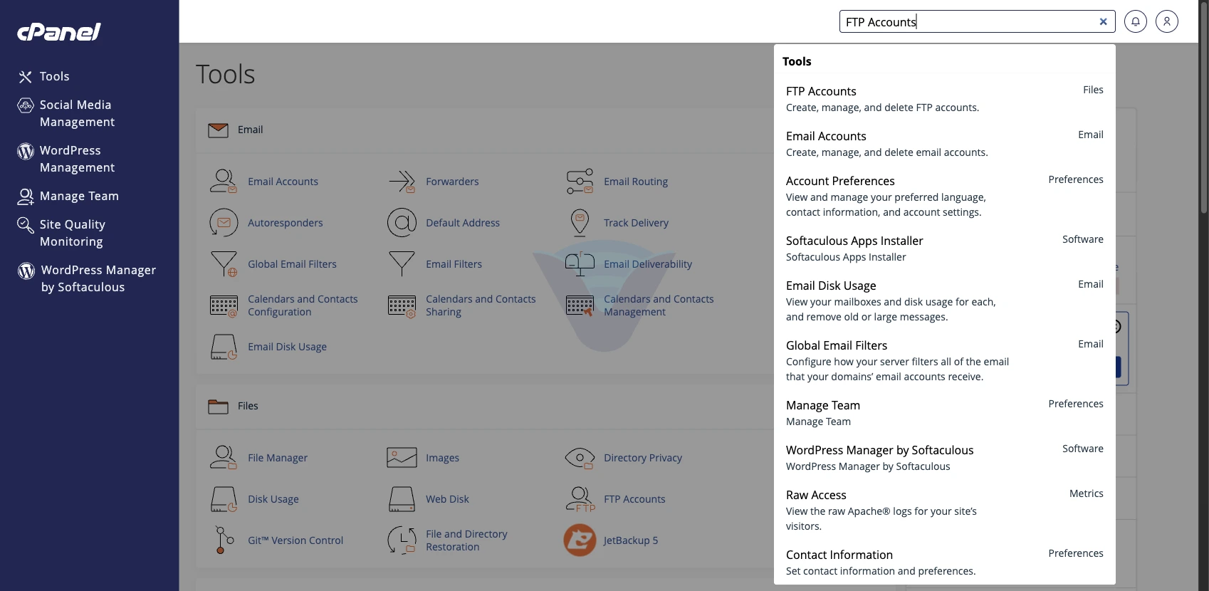 cPanel arama kutusunda FTP Accounts sonucu