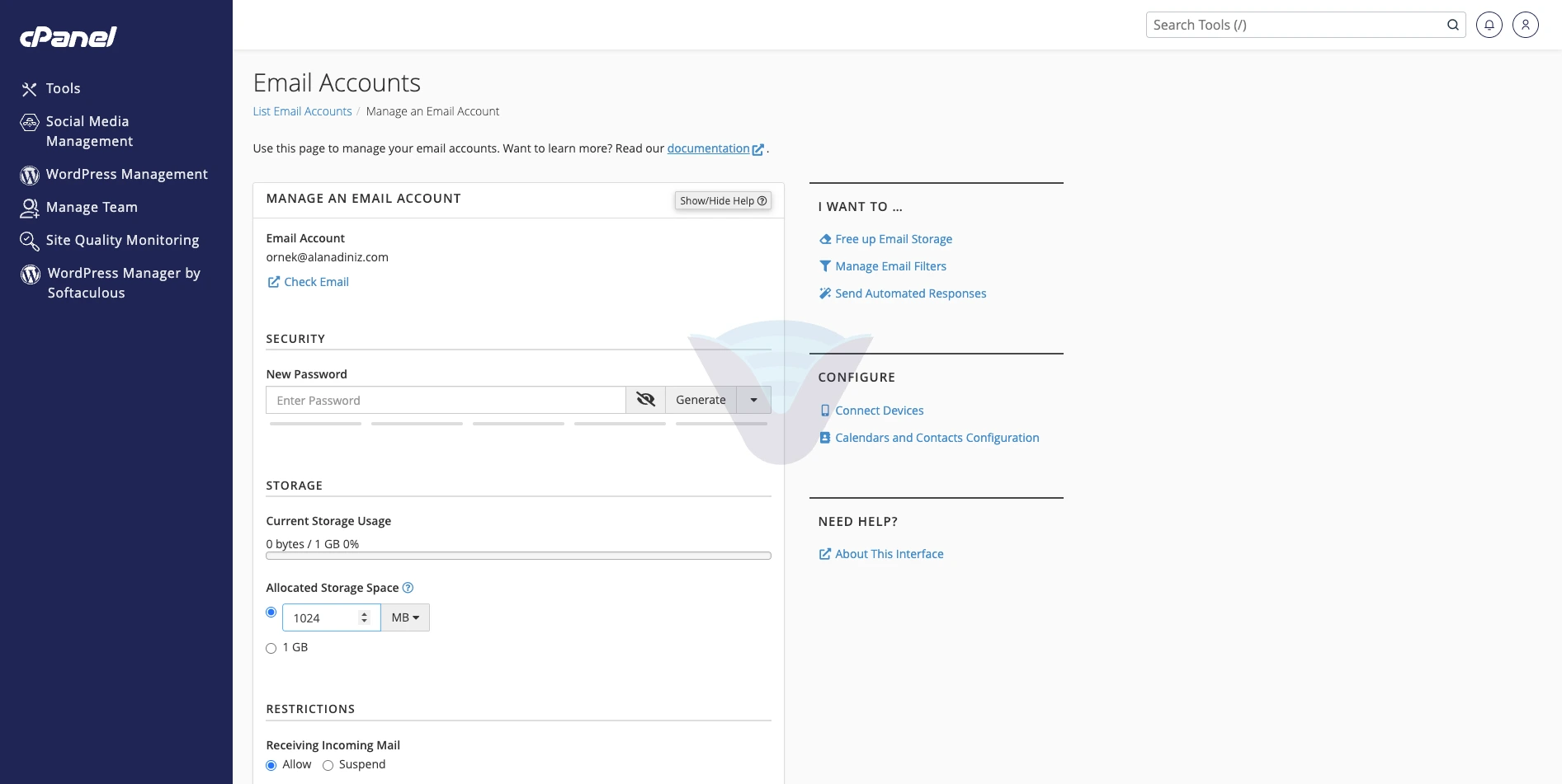 Email Accounts Manage ekranında Security bölümü ve New Password alanı