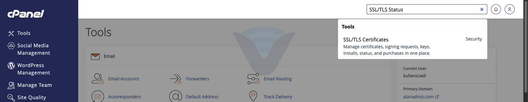 cPanel arama kutusunda SSL/TLS sonucu