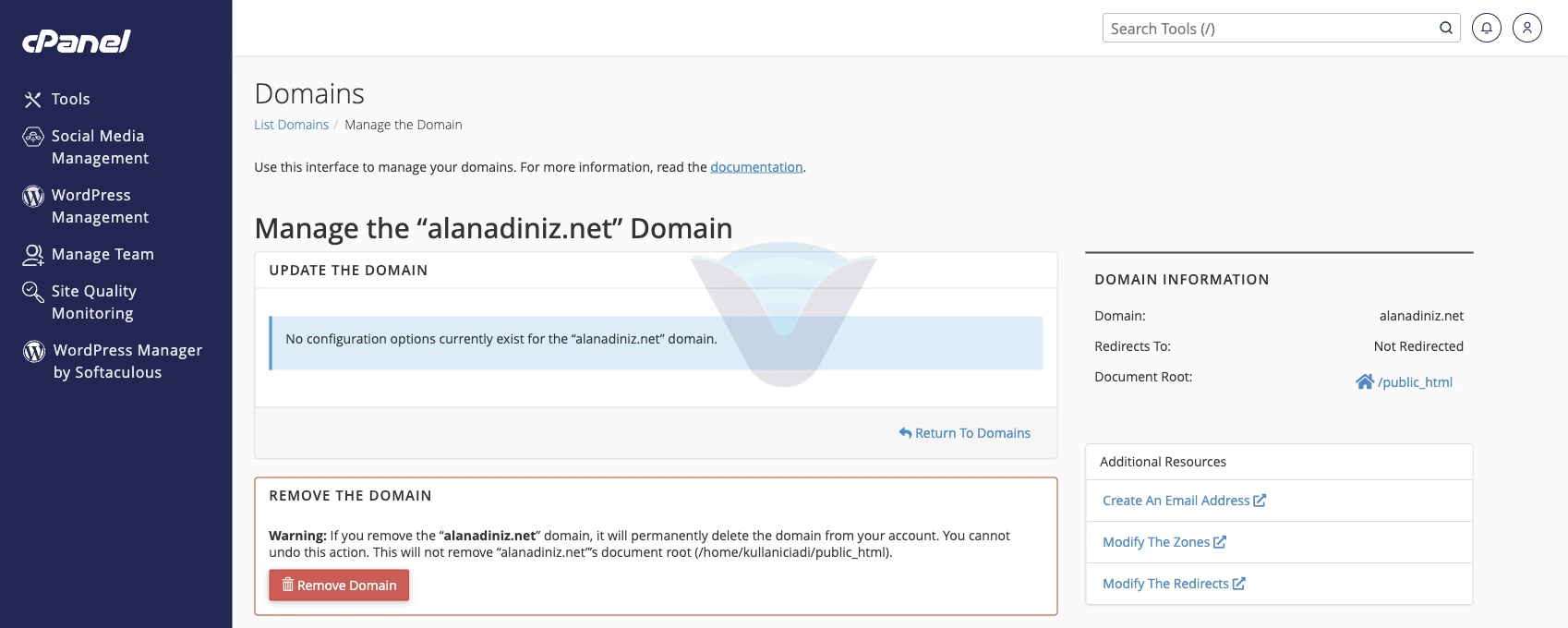 Alias için Manage sayfası: Update bölümünde ayar yok, Remove Domain bölümü