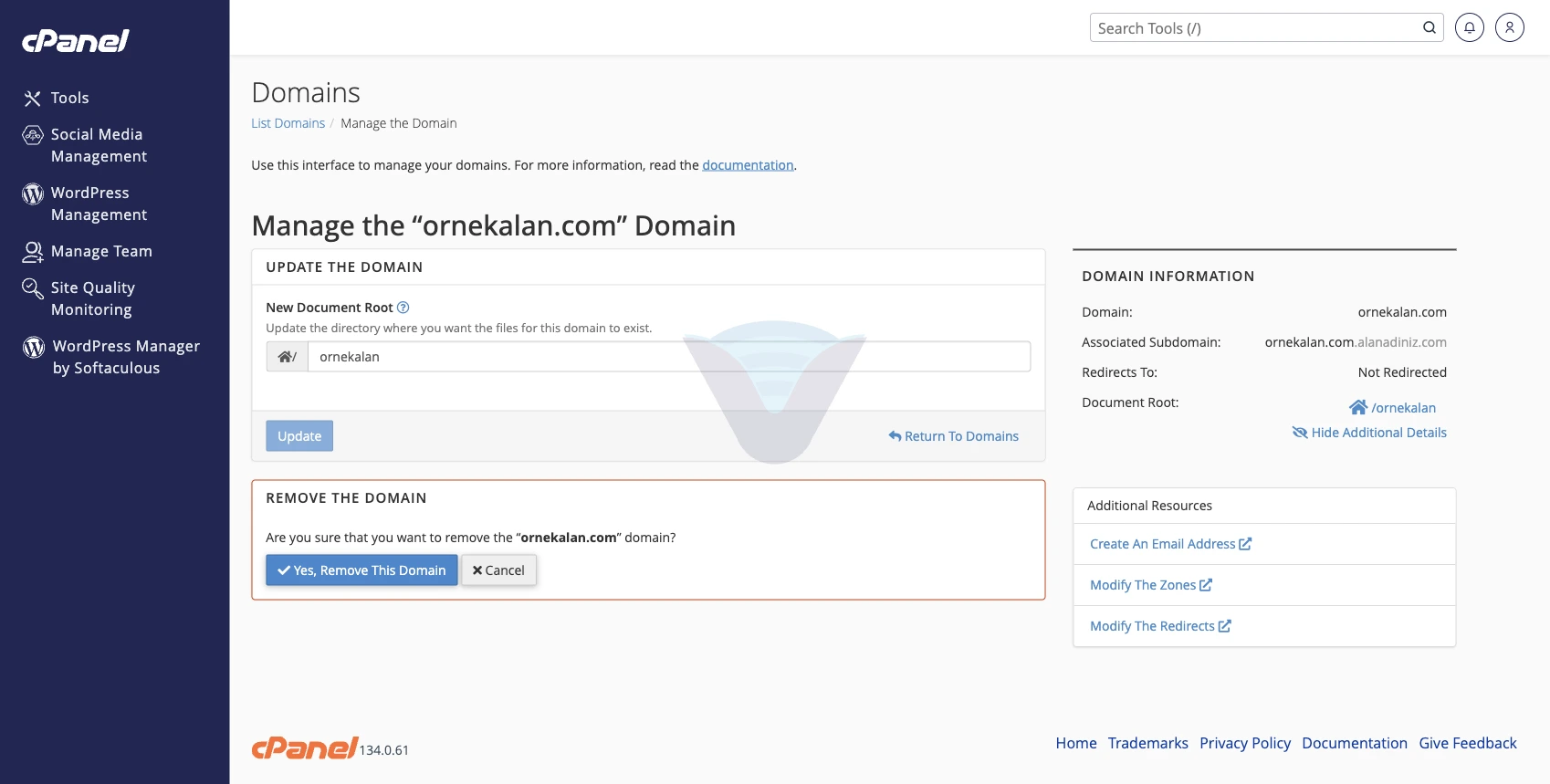 Remove Domain onayı: Yes, Remove This Domain ve Cancel düğmeleri