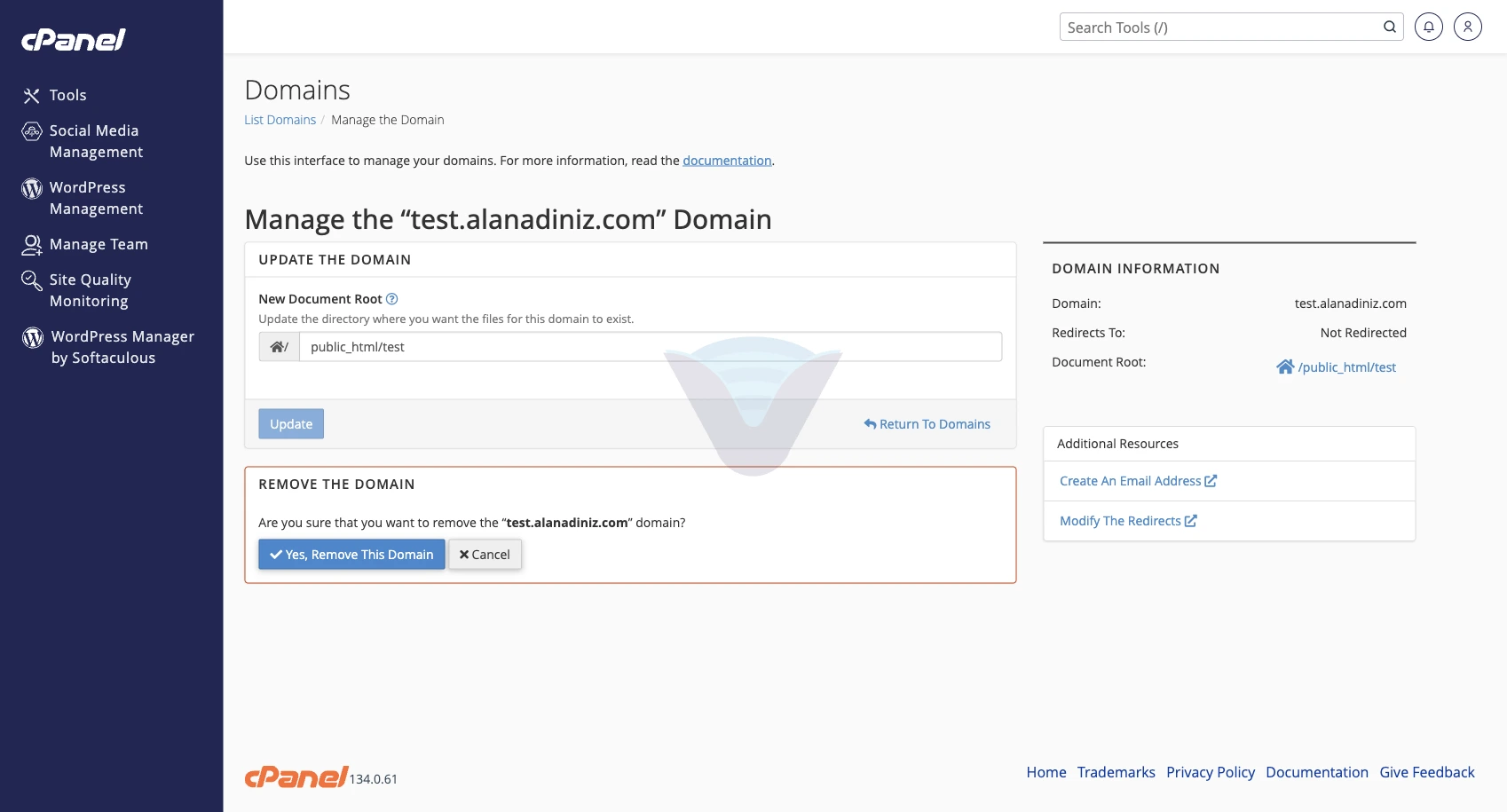 Remove Domain onayı: Yes, Remove This Domain ve Cancel düğmeleri