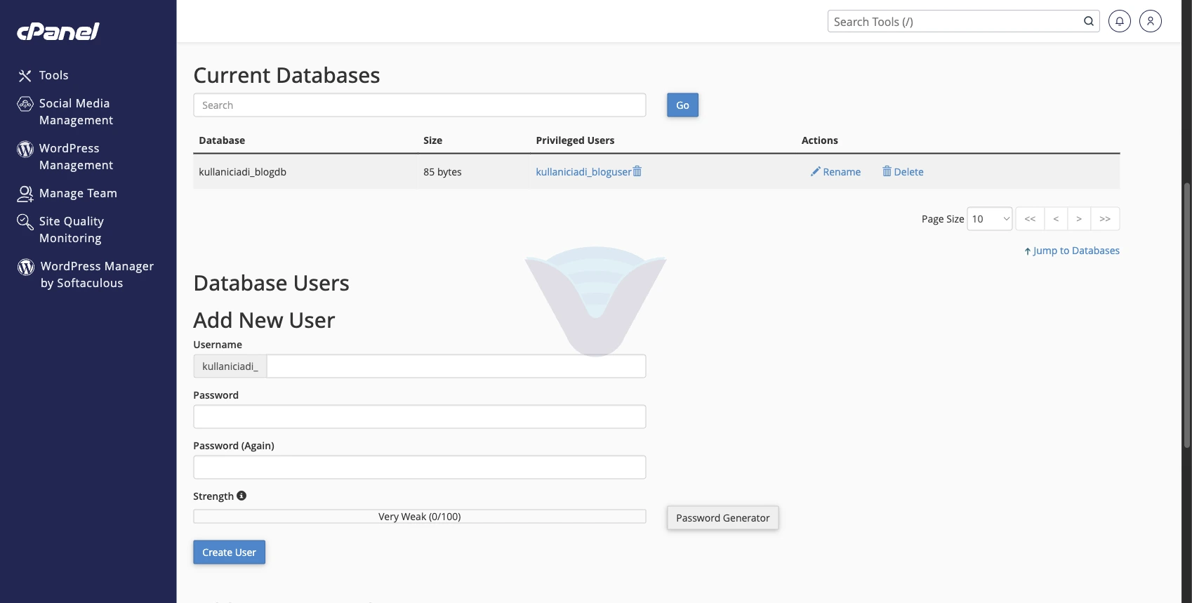 Current Databases listesinde veritabanı ve yetkili kullanıcı