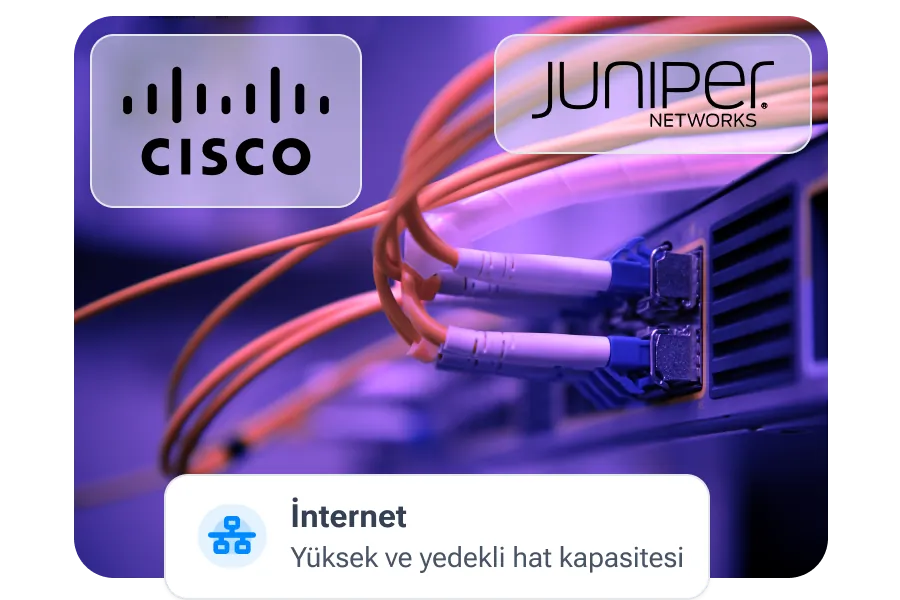 İnternet Erişimi