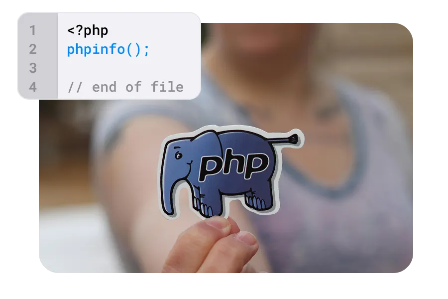 PHP Versiyon Desteği